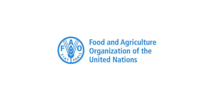 FAO”Curriculum modification at selected TVET institutions”